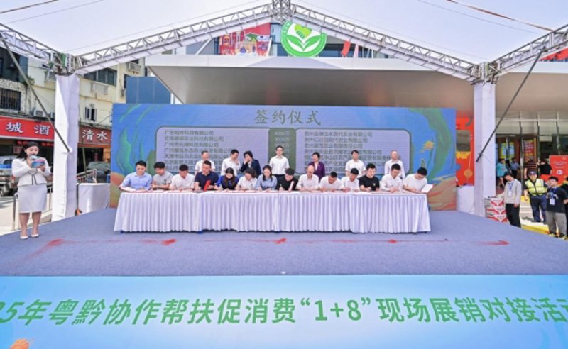行业动态：喜气洋洋贸易引领新年潮流